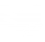 thrive-apprentice-white-symbol