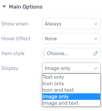 Dynamic Menu Items - profile image - choosing display options