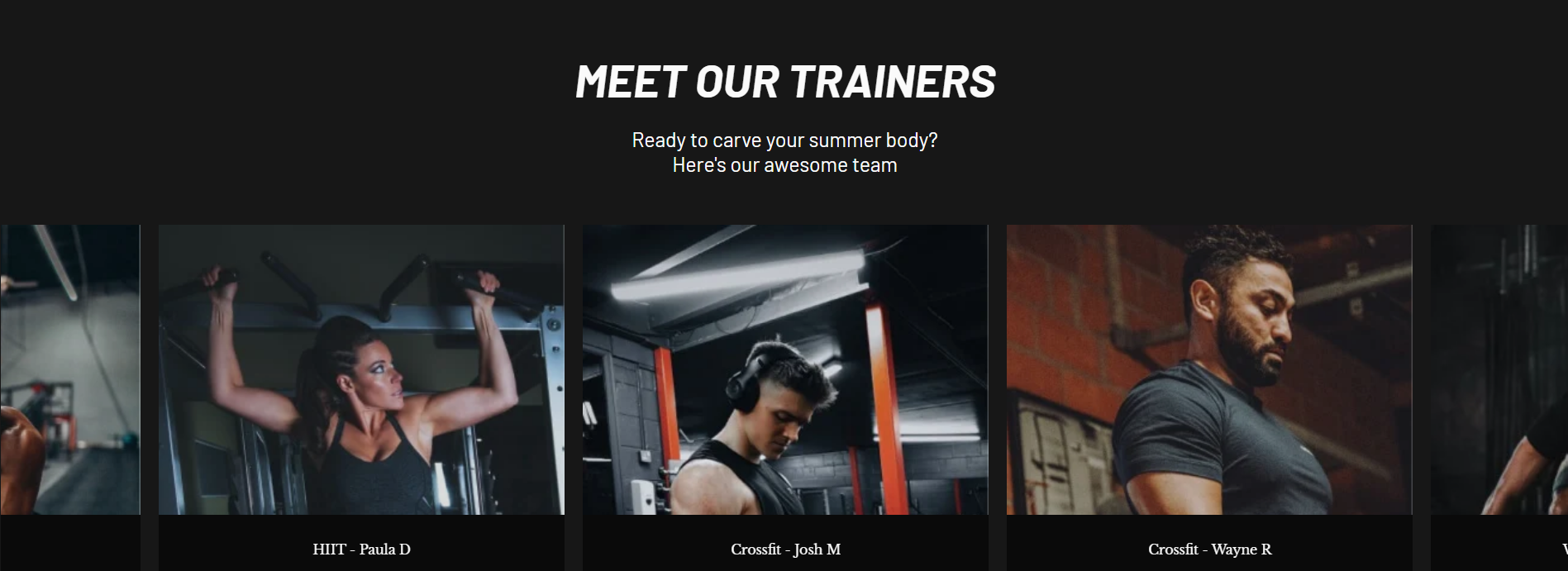 Meet the Trainers